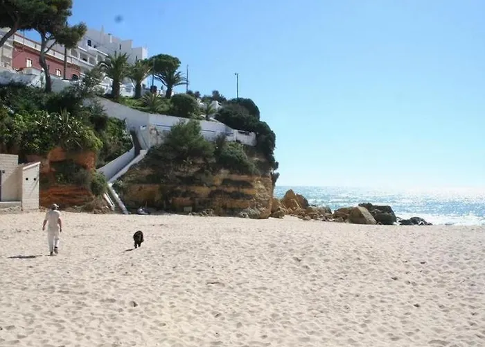 Casa Located Above Beach! 아파트 *