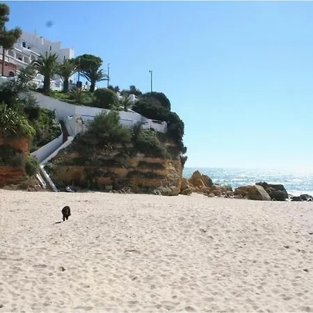 Casa Located Above Beach! Lejlighed *